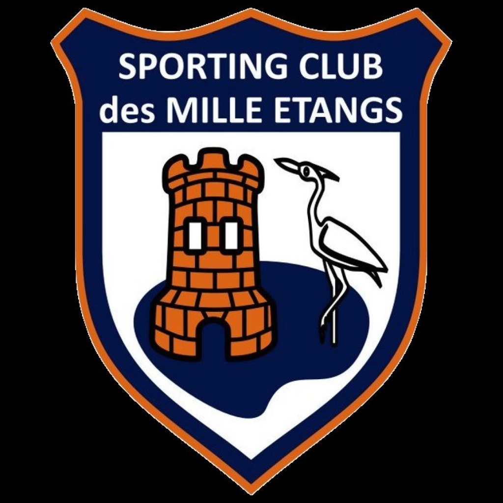 Recherche joueurs seniors et seniors féminines