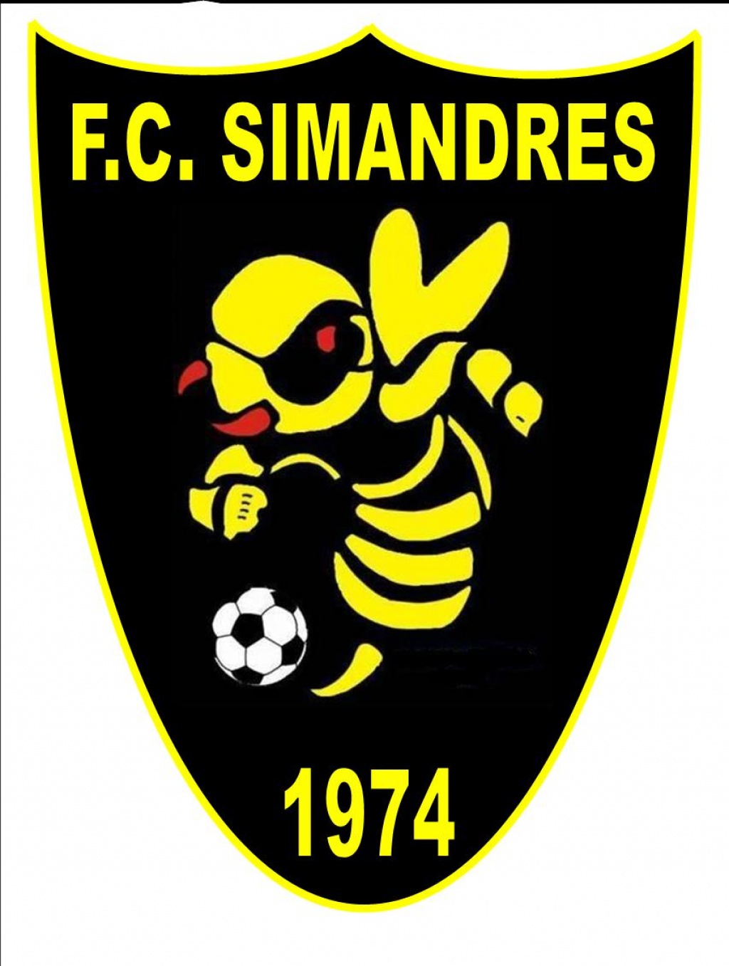 recherche joueuses sénirors féminines