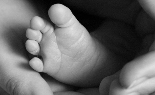 Mercato 2017 - Première arrivée officielle au FC BORDS de SAÔNE ! Mercato 2017 - Première arrivée officielle au FC BORDS de SAÔNE !