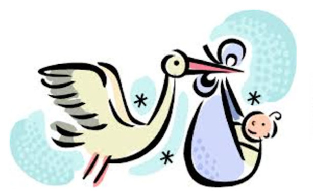 Mercato - Le FC BORDS de SAONE frappe fort chez les féminines ! Mercato - Le FC BORDS de SAONE frappe fort chez les féminines !