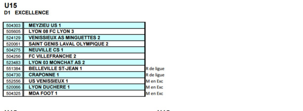 En direct du District - Découvrez la Poule U15 D1 (Excellence) En direct du District - Découvrez la Poule U15 D1 (Excellence)