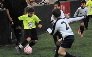 Luis Henrique est libre Luis Henrique est libre