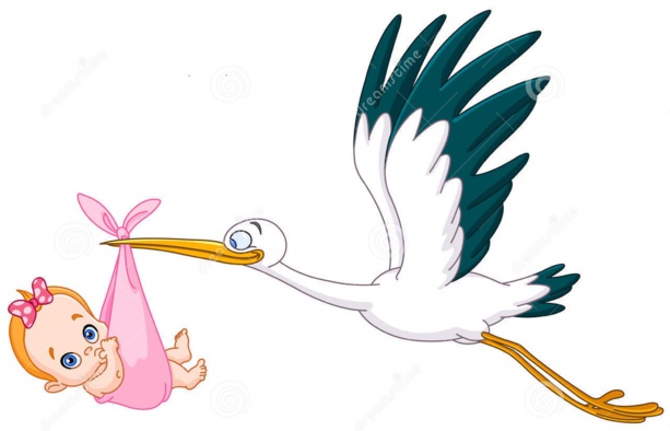 Faire Part – La passe de quatre pour Karim ALLOUCHE ! Faire Part – La passe de quatre pour Karim ALLOUCHE !