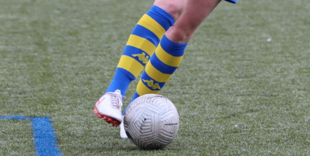 A quoi vont ressembler les championnats nationaux féminins à partir de 2023 ? A quoi vont ressembler les championnats nationaux féminins à partir de 2023 ?