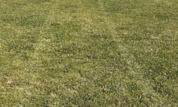 Face à l'abandon de ses structures, le FC Ternay lance une pétition Face à l'abandon de ses structures, le FC Ternay lance une pétition