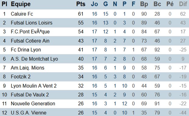 Futsal Excellence (district du Rhône)
