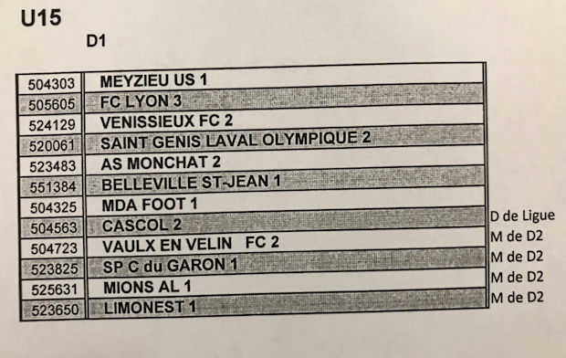 DISTRICT - Découvrez les POULES U15 2018-2019 DISTRICT - Découvrez les POULES U15 2018-2019