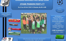 Stage - CHASSIEU-DECINES FC organise